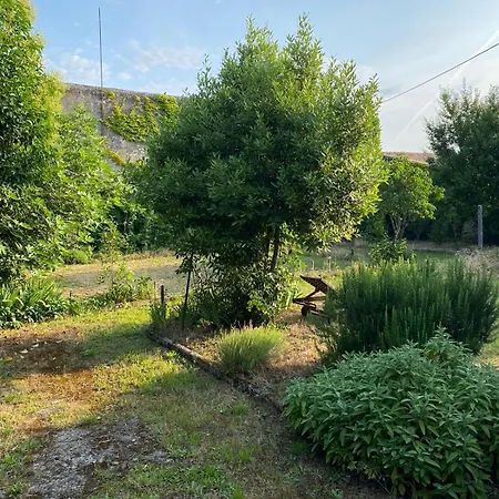 Maison Au Coeur Des Vignes 圣埃斯泰夫